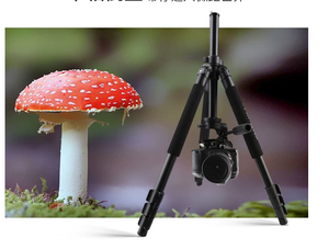 Nouveau trépied professionnel pour appareil photo reflex numérique Weifeng <span class=keywords><strong>FANCIER</strong></span> FT WF-6663A 2026 avec tête 3D à 3 axes - Product Image 3