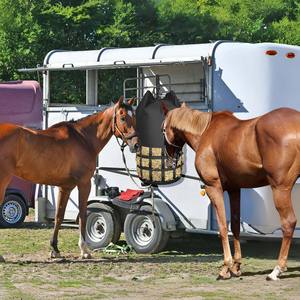 Free sample Wholesale Horse <b>Hay</b> Bale Bag for Horses <b>Hay</b> <b>Feeder</b> Storage Bag Feeding Supplies Organizer CasesB - Product Image 3