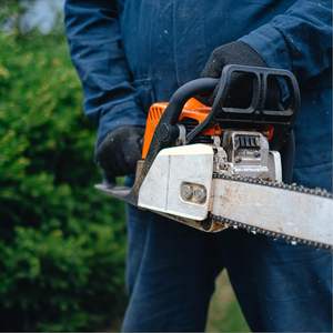 Oregon motosega 3/8 LP 050 56DL 240 440 450 455 allevatore - Product Image 5