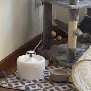 Bebedero automático blanco de 2,5 litros para mascotas, bebedero para gatos, fuente silenciosa para gatos, incluye filtro - Product Image 6