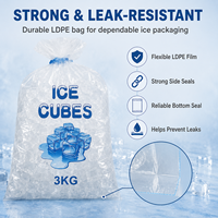 Sacs à glace en plastique alimentaire résistant aux déchirures, avec logo personnalisé, sacs à glace en LDPE