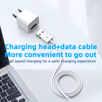 Cable de Datos USB de Carga Rápida de Alta Calidad de 2.4A para Teléfono 14 13 Pro Max 11 X XR XS 8 7 6 6s, Bancos de Energía, Computadoras, con Caja