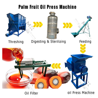 Kleine Palmfruitolieproductielijn Prijs Palmolieverwerkingsmachine In Nigeria