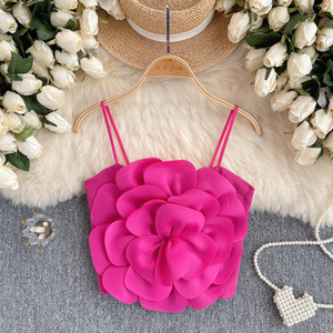 Camisola con Diseño de Flores 3D al Estilo de la Corte Francesa, Top para Mujer, Corsé de Moda - Product Image 2