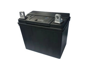 Batería de Repuesto <span class=keywords><strong>para</strong></span> Cortacésped Palma de <span class=keywords><strong>12V</strong></span> 24Ah Libre de Mantenimiento <span class=keywords><strong>para</strong></span> <span class=keywords><strong>Tractor</strong></span>/Cortacésped Deere - Product Image 2