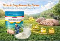 Lanchen SwineVit Trace Plus Prémélange de minéraux et oligo-éléments de qualité alimentaire pour porcs, enrichi en Bacillus Subtilis, enzymes et acides aminés, favorisant la santé des porcs