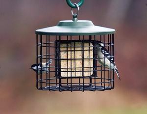 Eekhoorn Proof Dubbele Niervet <span class=keywords><strong>Feeder</strong></span> - Product Image 2