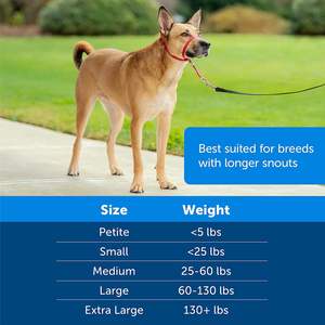 Logo personnalisé cache-bouche sans traction <span class=keywords><strong>anti</strong></span>-morsures aboiements <span class=keywords><strong>laisse</strong></span> pour chiens de compagnie pour la formation - Product Image 2