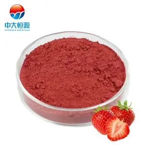 Prix usine poudre de fruits soluble instantanée poudre de fraise poudre de saveur de fraise