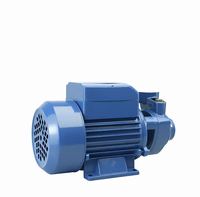 Pompe centrifuge auto-amorçante solaire automatique 1,5 CV basse pression 48V CC pour conduite d'eau propre OEM