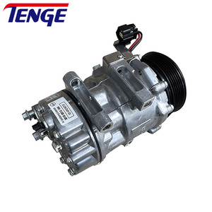 Tenge AC compressore aria condizionata OEM 301000131AA per <span class=keywords><strong>Chery</strong></span> <span class=keywords><strong>Tiggo</strong></span> <span class=keywords><strong>Chery</strong></span> <span class=keywords><strong>Tiggo</strong></span> 7 Pro 8 Txs 1.5 1.6 2.0 sospensioni pneumatiche 6PK - Product Image 3