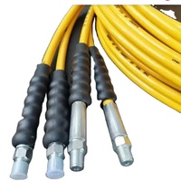 Herramienta de inyector Common Rail de tubo de silicona de alta presión de 650mm para banco de pruebas de analizador de motor y herramientas de reparación