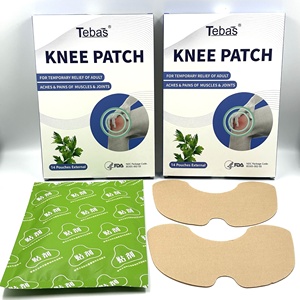 Lijitang 2025カスタマイズ関節膝骨格筋個人用中国石膏膝痛み軽減パッチ - Product Image 2