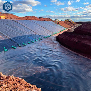 <span class=keywords><strong>Prix</strong></span> du revêtement de barrage en PEHD par mètre carré, géomembrane en polyéthylène pour les mines et les bassins - Product Image 1