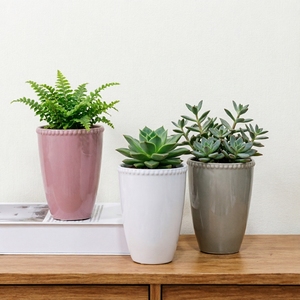 Pot à succulentes en céramique moderne avec bordure perlée pour la décoration intérieure et de bureau - Product Image 1