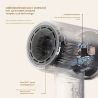 Secador de Pelo de 1600W con Iones Negativos, Motor BLDC de 110000 RPM, Doble NTC, 10 Modos de Ciclo Frío/Caliente, Ligero y de Secado Rápido