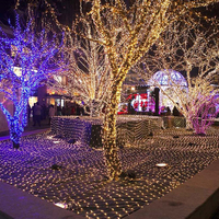 Vente en gros de guirlandes lumineuses LED étanches IP65, guirlandes de 10m pour l'extérieur, la fête de mariage, le jardin, la maison, les vacances et les décorations de Noël
