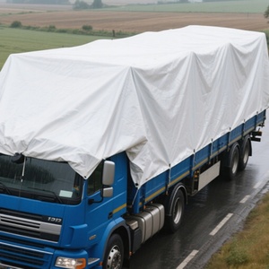 Bâche en PVC personnalisée imperméable à bords renforcés haute densité pour la <span class=keywords><strong>protection</strong></span> des stocks extérieurs - Product Image 6