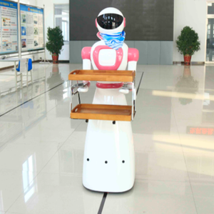 <span class=keywords><strong>Robot</strong></span> de Entrega de Comida para Gatos - Product Image 4