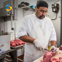 Ensemble d'équipements de boucherie automatiques de petite taille pour cuisine commerciale en acier inoxydable, ensemble de machines de transformation de la viande