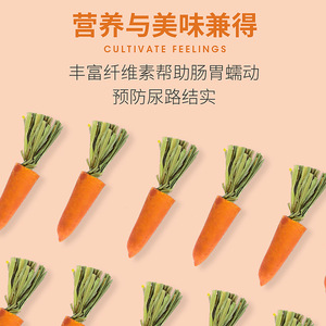 Small Mushroom Chew <b>Stick</b> For Hamster Teeth Sharpening Safe Edible Pet Snack Indoor Decoration - Product Image 2
