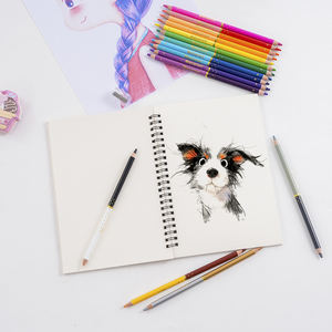 マカロン30個学校色鉛筆Doble Puntaアーティストカラー鉛筆虹色鉛筆オフィス用品用削り - Product Image 4