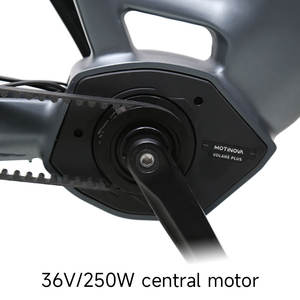 Vélo électrique TXED haut de gamme, fabrication OEM, cadre 700*42C, moteur central 36V 250W, 8 vitesses internes, pour les trajets quotidiens, longue autonomie, vélo électrique de ville - Product Image 2