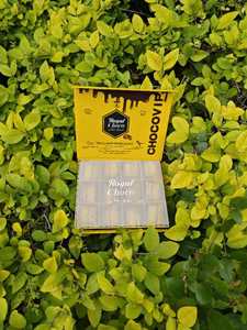 Vente chaude Choco Vip avec emballage extérieur en <span class=keywords><strong>chocolat</strong></span> noir <span class=keywords><strong>Chocolat</strong></span> Vip <span class=keywords><strong>pour</strong></span> fournisseur Produit de <span class=keywords><strong>sexe</strong></span> Paquets OEM - Product Image 6