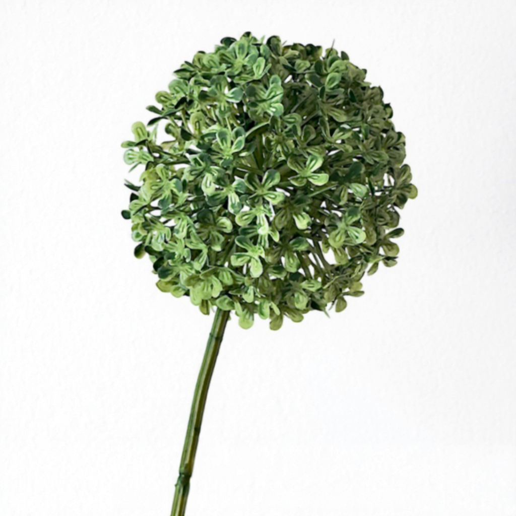 [9] Bulbes d'oignons verts