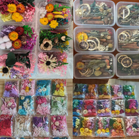 Lot de fleurs séchées pressées en gros, assortiment pour la décoration de gâteaux, la pâtisserie florale et les fêtes. Fleur éternelle naturelle artisanale