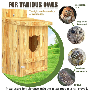 Nichoir personnalisé en bois pour hiboux de grange, grande taille, pour extérieur, pour oiseaux sauvages et hiboux de grange orientaux - Product Image 5