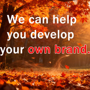 Moto Elettrica XX Brand XM-60 72V 50km/h a Due Ruote per Lunghe Distanze Uso Adulto Garanzia di Qualità - Product Image 2