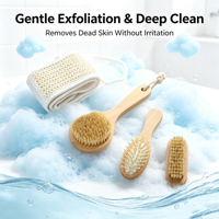 Lot de 4 brosses de bain en bois naturel, ensemble de brosses de bain tendance avec poils de sanglier, peigne à coussin d'air, ceinture exfoliante en sisal, kit de douche écologique pour spa