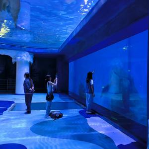 Aquarium acrylique cloisonné en plastique écologique avec séparateurs en maille pour les espèces de poissons agressifs de récifs coralliens - Product Image 3