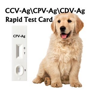 Kit de test rapide pour la détection des parasites du sang Anaplasma Ehrlichia chez les chiens Instrument vétérinaire pour les soins des animaux de compagnie CPV-Ag CCV/CDV/CPV - Product Image 3