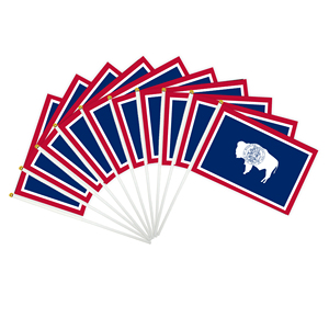 Drapeau à main personnalisé du Wyoming, l'État de l'égalité, 14x21cm, petit drapeau ondulant pour les matchs de football et de soccer - Product Image 1