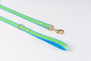 Auf Lager Wasserdichtes leuchtendes Hunde halsband und Leinen-Set Stoß dämpfend Bequem für Hunde - Product Image 2