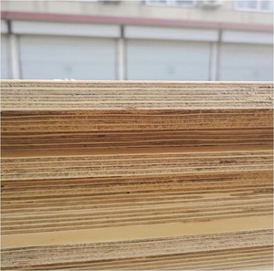 Contrachapado de <span class=keywords><strong>Pino</strong></span> CDX de 18mm (3/4 1/2) Económico con Nudos para Techos, Paredes y Exteriores - Product Image 3