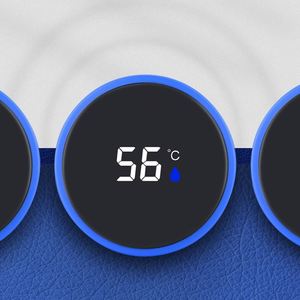 Botella de Agua Inteligente de Acero Inoxidable con Filtro e Infusor, Termo de 500 ml con Pantalla LED de Temperatura y Logotipo Personalizado Ww59 - Product Image 4