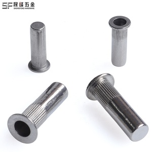 Inserto de rosca de acero inoxidable A2 A4 Acabado pulido Cabeza plana Cuerpo redondo Extremo cerrado Tuerca de remache ciego vertical moleteada - Product Image 1