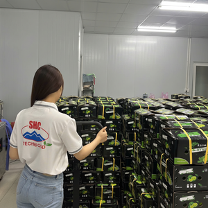 ได้รับการรับรองว่ามะนาวไร้เมล็ดใหม่จากเวียดนามได้รับการรับรองทั่วโลกสดและส่งออกอย่างต่อเนื่องพร้อมตลอดทั้งปี - Product Image 1