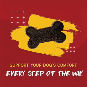 Perna Mussels, Golosinas Masticables para Perros con Soporte Articular, Sabor a Carne <span class=keywords><strong>de</strong></span> Res y Mejillón <span class=keywords><strong>de</strong></span> Labio Verde, Forma <span class=keywords><strong>de</strong></span> Hueso, 60 Unidades, Venta al Por Mayor, OEM - Product Image 6