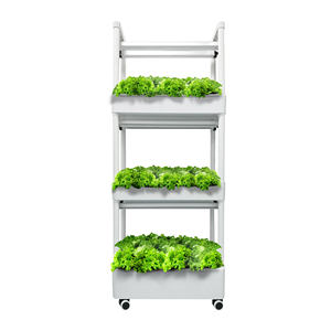 Étagère mobile de culture hydroponique sur roulettes pour serre, ferme verticale, support pour laitue, tomates et concombres - Product Image 1