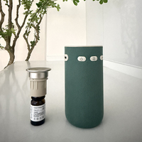 Diffuseur d'huiles essentielles sans eau portable rechargeable par USB anti-fuite d'eau avec lumière pour la maison