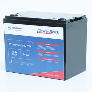 CBAK 12.8V LiFePO4 리튬 철 배터리 모듈 2000 사이클 IP56 스왑 배터리 팩 75Ah 300Ah 용량 2000 사이클 배터리 팩 - Product Image 1