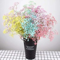 Fleurs séchées de gypsophile naturelles préservées couleur personnalisée, tige de 55-60 cm, pour la Fête des Mères, cadeau de vacances, fourniture de matières premières pour fleuristes