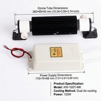 Ozon-Generator-Set 10G mit Doppel-Luftkühlung, 120W Ozonmodul, Aluminiumoxid-Keramik-Ozonröhre, 1 Jahr Garantie, Ozon-Desinfektionsgerät