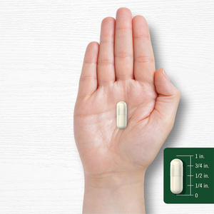 Wildcrafted <strong>Organic</strong> <strong>Sea</strong> <strong>Moss</strong> Capsules | <strong>Irish</strong> <strong>Sea</strong> <strong>Moss</strong> Bladderwrack Burdock Root Herbal Supplement - Product Image 2