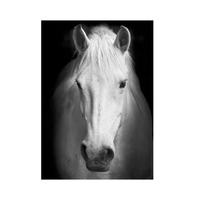 Peinture au diamant sur toile 40x50cm, kit cheval noir et blanc, écologique, classique, peinture DIY peinte à la main, sans cadre, pour décoration murale de la maison