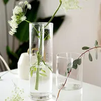 Groothandel Bulk Handgemaakte Elegante Ronde Clear Glas Cilinder Vazen